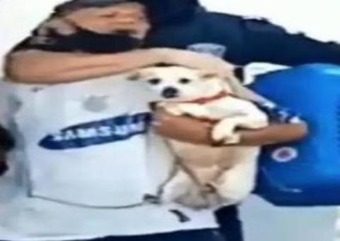 Idoso é imobilizado e preso por entrar em mercado com cadela para pedir ração