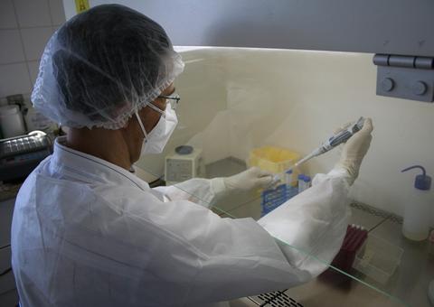 Governo descobre anticorpos da Covid-19 em sangue doado em 11 de fevereiro