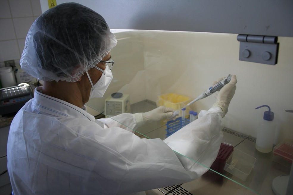 Governo descobre anticorpos da Covid-19 em sangue doado em 11 de fevereiro