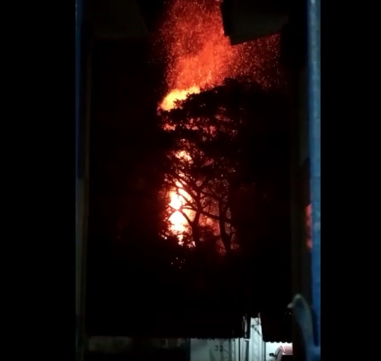 Incêndios em série atingem apartamento de luxo, casa e áreas de mata em Manaus