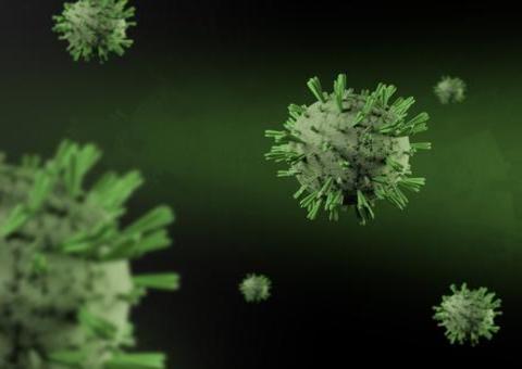 Amazonas tem mais 815 casos e quatro novas mortes por Covid-19 