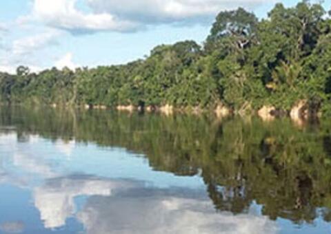 Mulher e crianças ficam feridas em tiroteio em Nova Olinda do Norte 