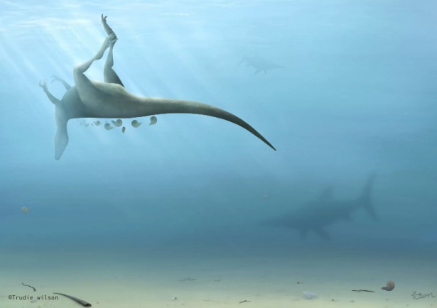 Cientistas encontram ossos que podem ser de nova espécie de dinossauros