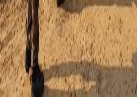 Suspeito de matar desafeto a facadas no Carnaval é preso no Amazonas 