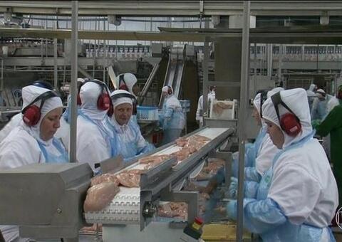 Filipinas suspendem compra de frango do Brasil por medo de coronavírus