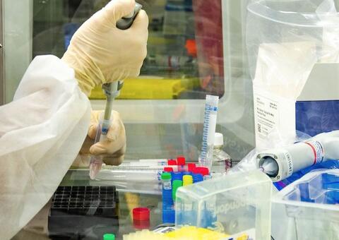 Brasil passa das 107 mil mortes pela covid-19 e tem alto número de novos casos