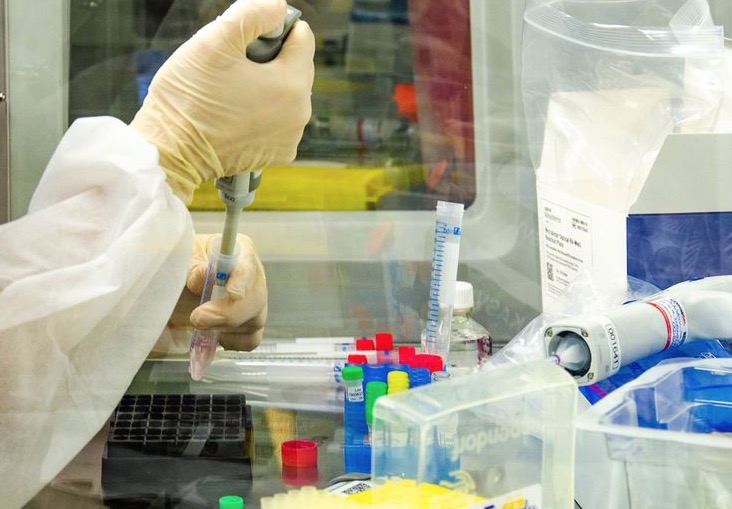 Brasil passa das 107 mil mortes pela covid-19 e tem alto número de novos casos