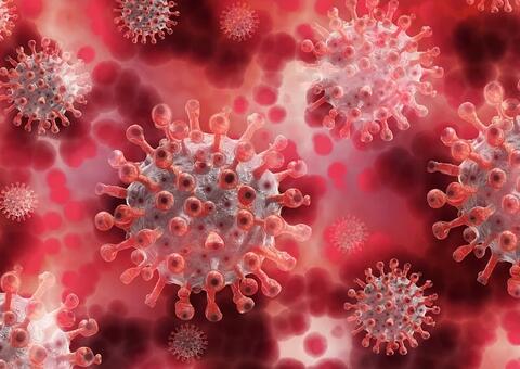 Amazonas tem 111.921 casos e mais de 94 mil recuperados da Covid-19 