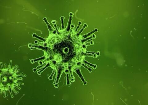 Pesquisa revela células de defesa ao coronavírus em pessoas sem anticorpos