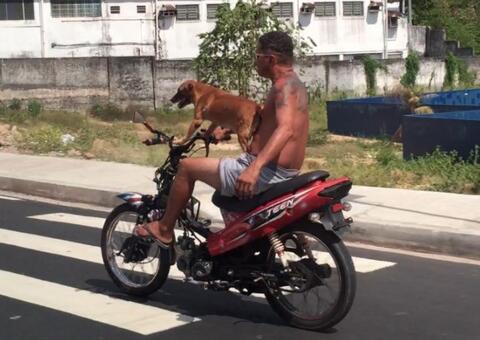 Vídeo: Cachorro é flagrado 'pilotando' moto em Manaus 