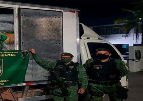 Caminhão com mais de 2 toneladas de carvão ilegal é apreendido no Amazonas