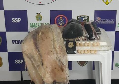 Ovos de tracajá e um pirarucu dão multa de R$ 75 mil no Amazonas