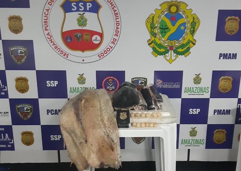 Ovos de tracajá e um pirarucu dão multa de R$ 75 mil no Amazonas
