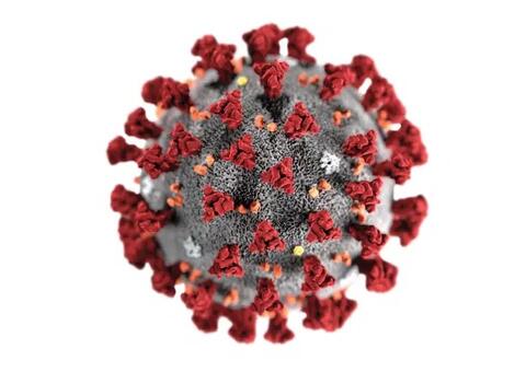 Amazonas confirma mais 618 casos e 19 mortes por Covid-19 