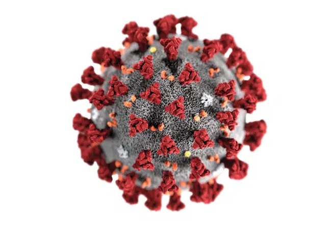 Amazonas confirma mais 618 casos e 19 mortes por Covid-19 