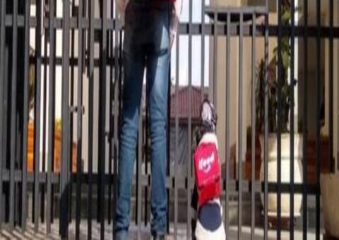 Cadela vira celebridade após ajudar motoboy em entregas