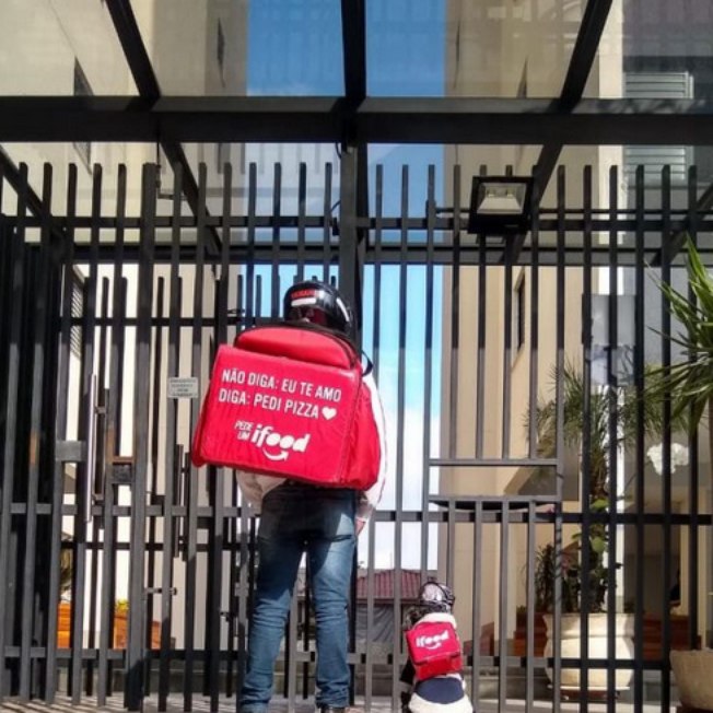 Cadela vira celebridade após ajudar motoboy em entregas