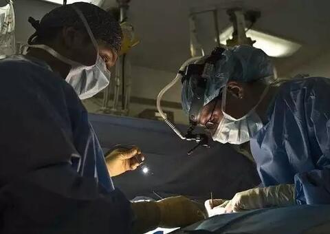 Transplante fecal cura paciente de síndrome que faz o corpo produzir álcool