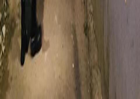 Homem morto na Compensa foi atingido com 14 tiros 