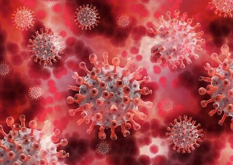 Mais de 111 mil mortes no  Brasil de Covid-19; veja dados