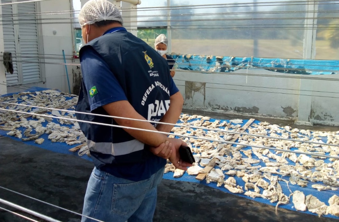 Charquearia é interditada e toneladas de jabá são apreendidas no Amazonas