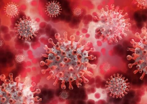 Estudo da Fiocruz aponta defasagem entre registro da covid e boletins