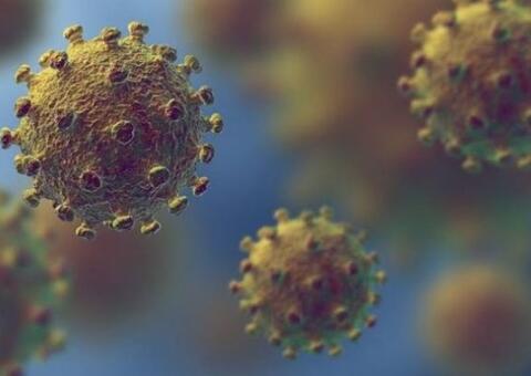 Amazonas alcança 3.551 mortes causadas pela Covid-19