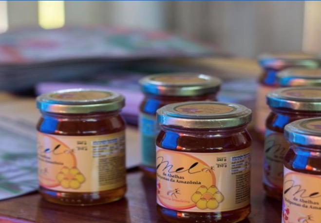 Consumo de mel cresceu no Amazonas durante pandemia; Entenda