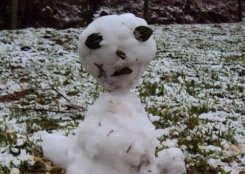 Bonecos de neve bizarros no sul do Brasil viram meme