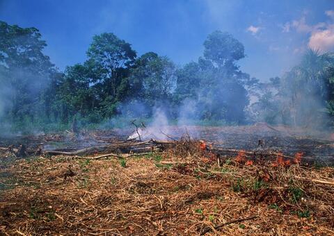Combate a queimadas tem operação integrada com Exército e Semmas