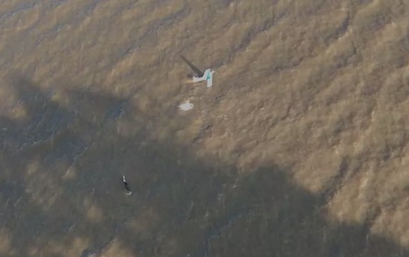 Aeronave cai com três tripulantes no Rio Amazonas