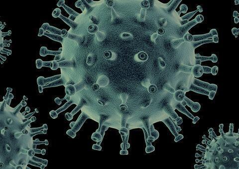 Brasil se aproxima da marca de 115 mil mortes de Covid-19