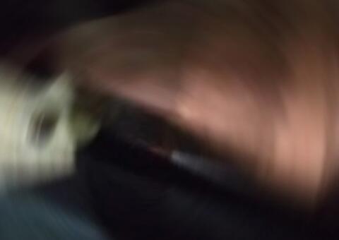 Bicho inusitado faz mulher quase se jogar de carro em movimento em Manaus