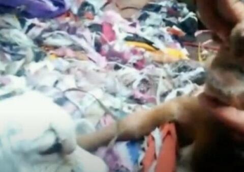 Filhotes de cordeiro nascem com deformidades e deixam moradores perturbados