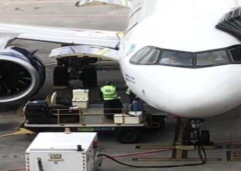 Pousos são interrompidos após avião atropelar cobra em aeroporto 