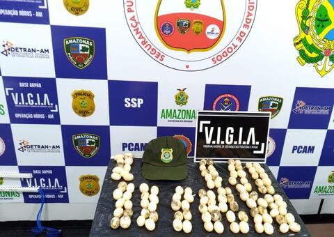 Homem é multado em R$ 500 mil por ovos de tracajá sem licença no Amazonas 