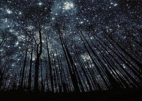 ET’s no Cinema: Ciência nas telonas e da nossa vida real é tema de palestra