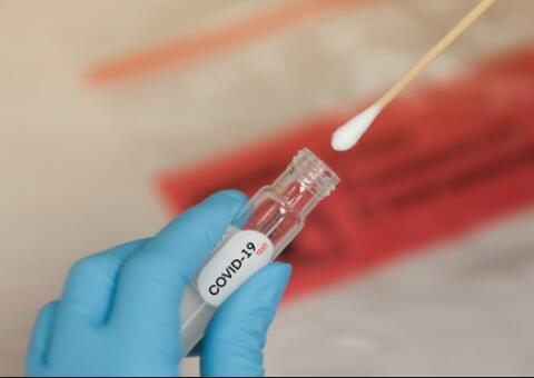 Bélgica e Holanda registram casos de reinfecção por coronavírus