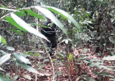 Suspeito de assalto é preso após fraturar perna durante fuga em Manaus