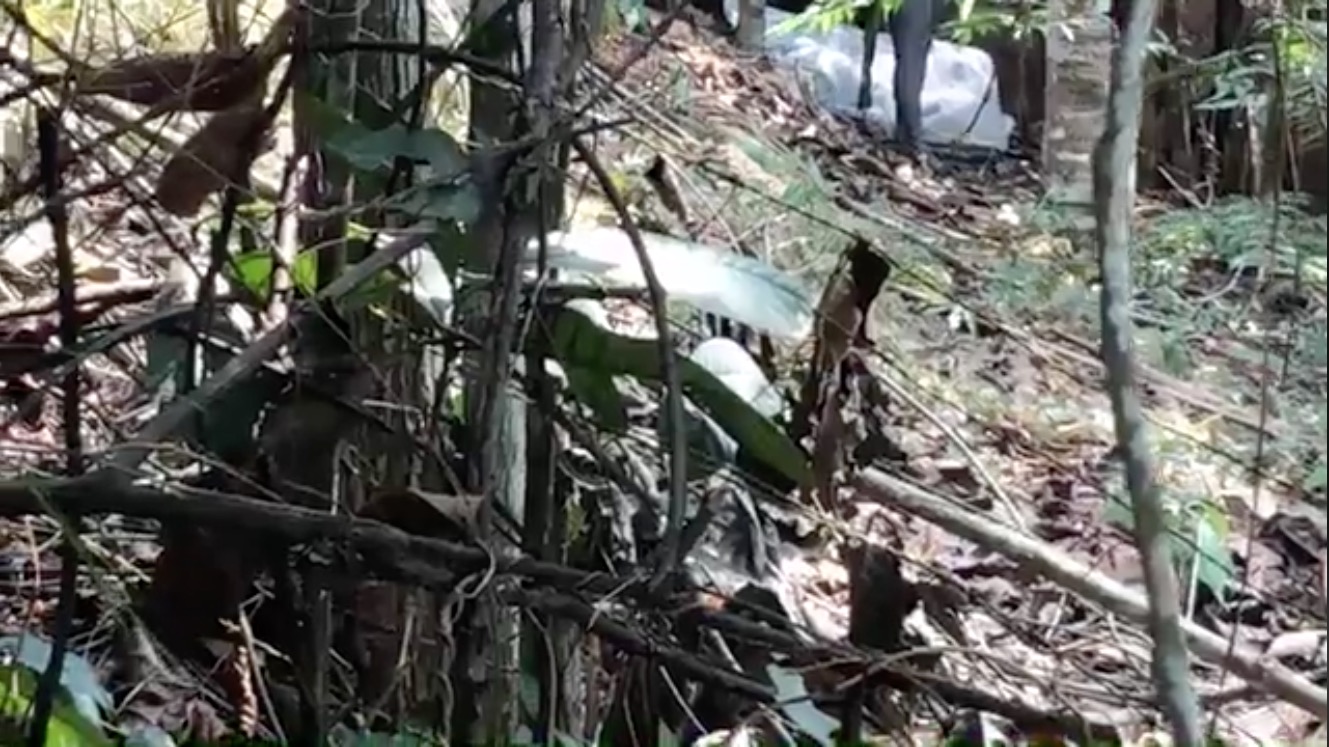 Homem que estava desaparecido é encontrado morto em área de mata em Manaus 