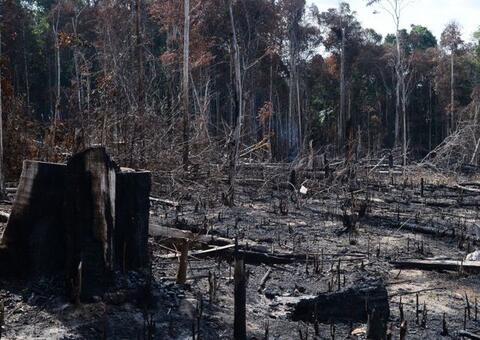 MPF cobra ações do Incra para reduzir desmatamento na Amazônia