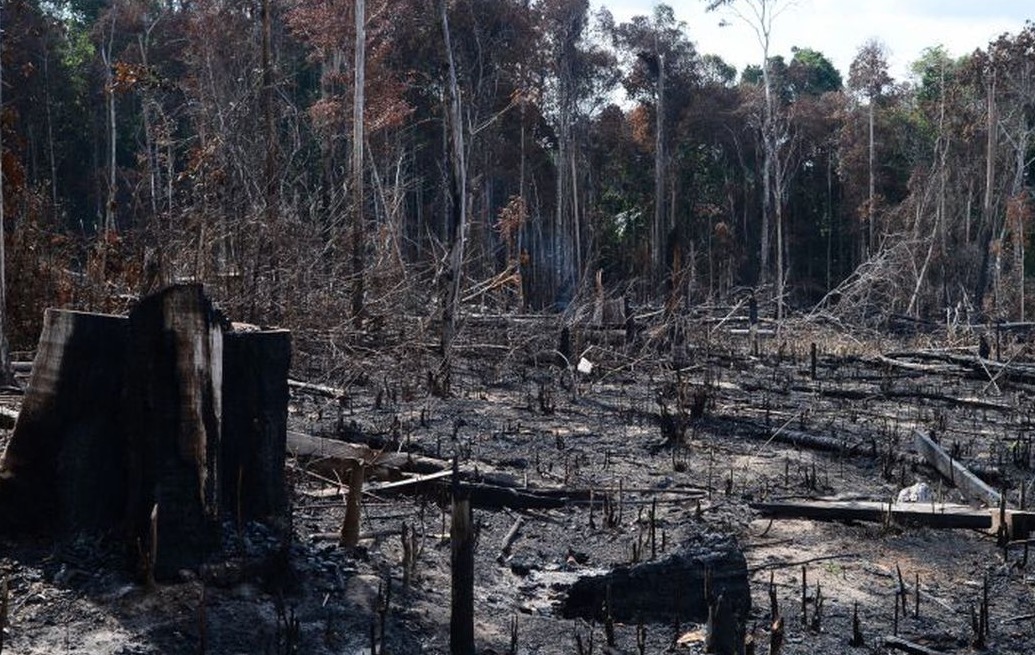 MPF cobra ações do Incra para reduzir desmatamento na Amazônia