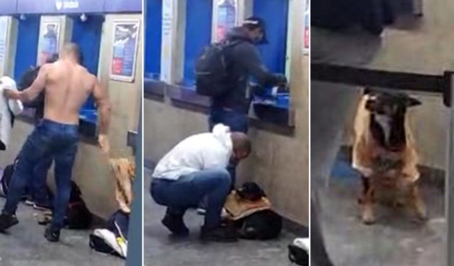 Jovem tira a camisa e agasalha cachorro que tremia de frio em metrô