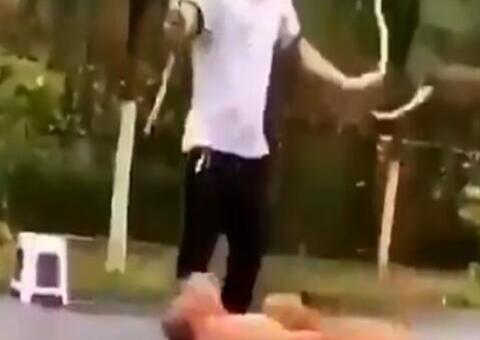 Cães impressionam ao pular corda e vídeo viraliza na web