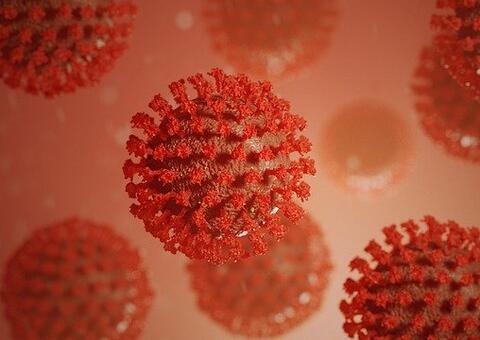 Brasil tem 117 mil mortes e 3,7 milhões de pessoas com Covid-19