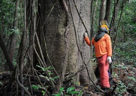Amazonas desburocratiza regra para exploração de Unidades de Conservação