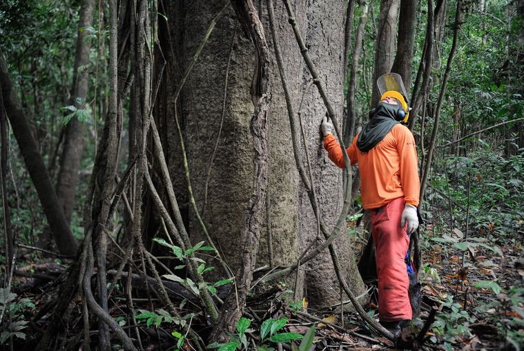 Amazonas desburocratiza regra para exploração de Unidades de Conservação