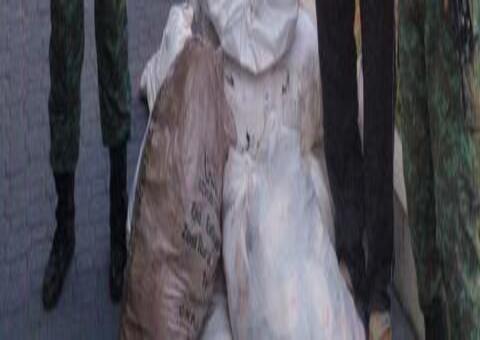 Meia tonelada de pescado ilegal é apreendida durante operação em Manaus