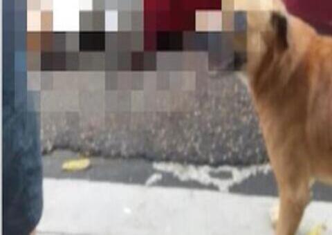 Homem leva vários tiros em rua do Centro de Manaus 