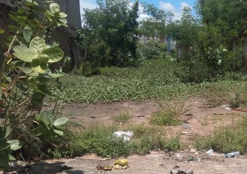 Após vizinhos sentirem falta de bebê, pai confessa ter enterrado filho